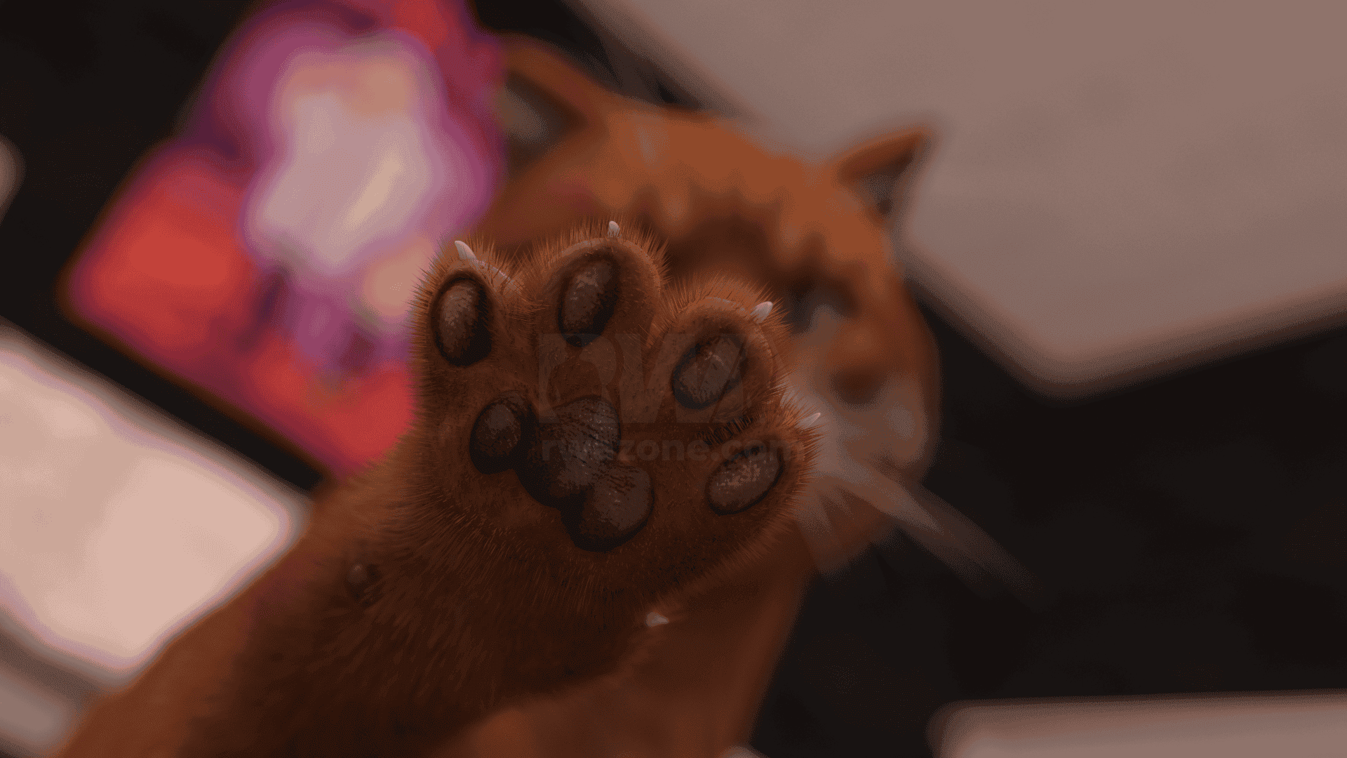 /static/media/topic/images/Golden%20Mean%20%28v0.4%29-162988.png
